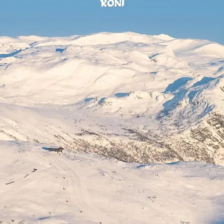 Skogstad Lodge, Holiday home