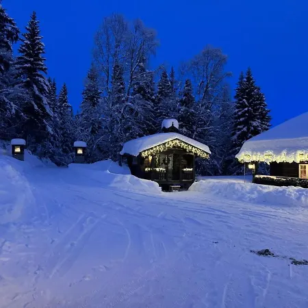 Holiday home Skogstad Lodge, *