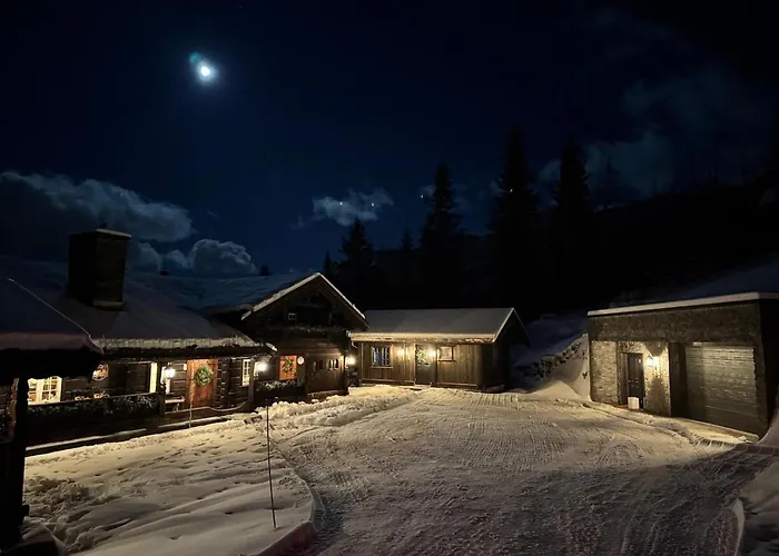 Skogstad Lodge, Feriehus
