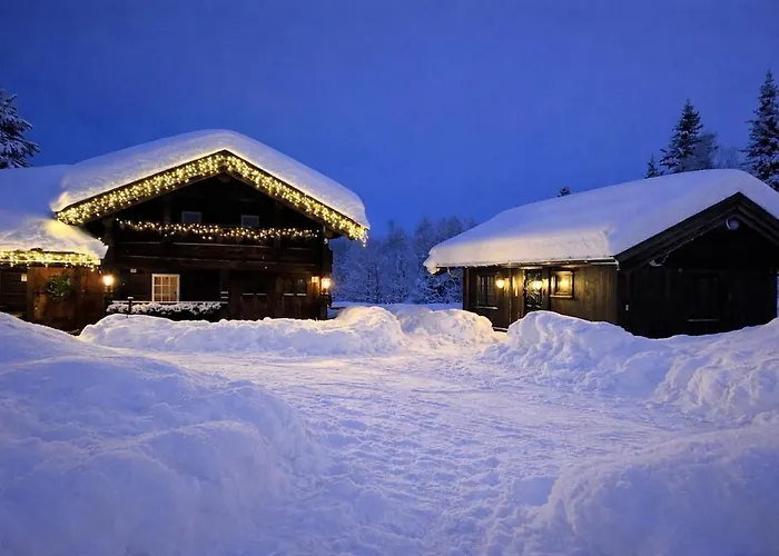 Skogstad Lodge, Feriehus *