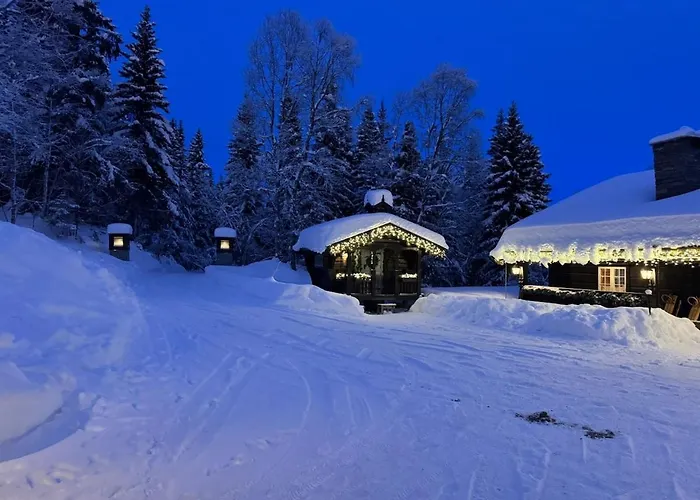 Feriehus Skogstad Lodge, *
